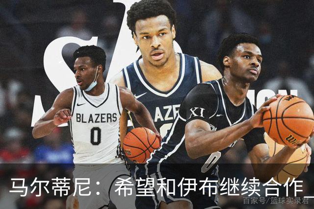 马尔蒂尼：希望和伊布继续合作 未和凯西达成一致